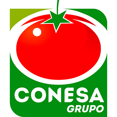 Logo Conesa Group