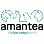 Logo Clínica Veterinaria Amantea