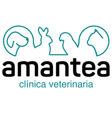 Logo Clínica Veterinaria Amantea